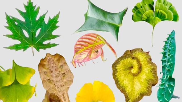 儿童绘画创意启蒙3-6岁，精选儿童创意画28幅