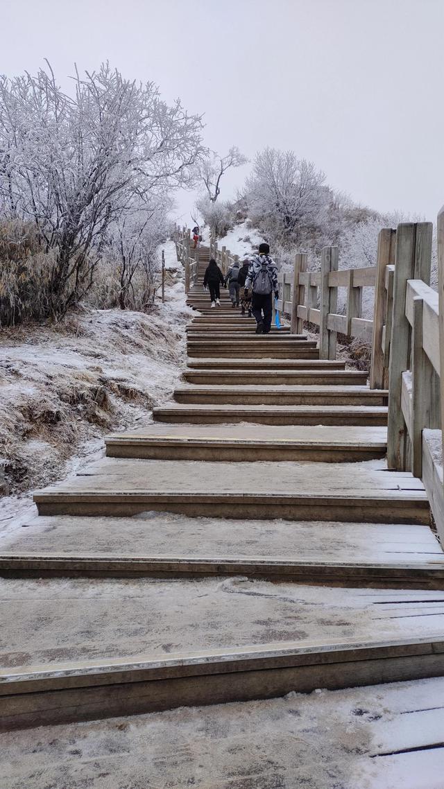 西岭雪山攻略一日游，西岭雪山旅游攻略11月