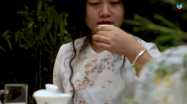 简单普洱茶的冲泡方法图解，冲泡方法3分钟教你泡出茶香超5种