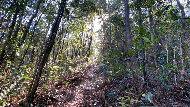 广州徒步登山经典路线，​黄埔秘境在这里