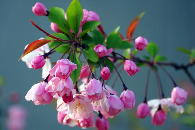 飞花令里读诗词，飞花令诗词大全（飞花令里读诗词）