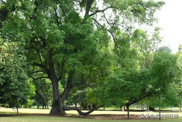 风水学屋前屋后有坟，俗话说“宅前有庙后有坟