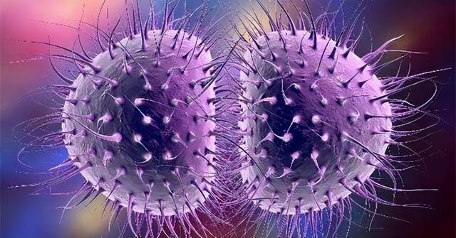 常见性传播疾病有哪些，7种通过性传播的疾病