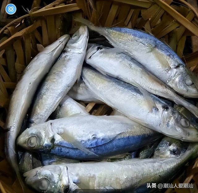 有哪些家常便饭好吃，美食推荐：四道家常便饭