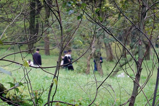 杭州西湖之白堤，“白堤”名出白居易