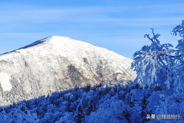 五常水稻核心产区，稻乡五常稻粱肥