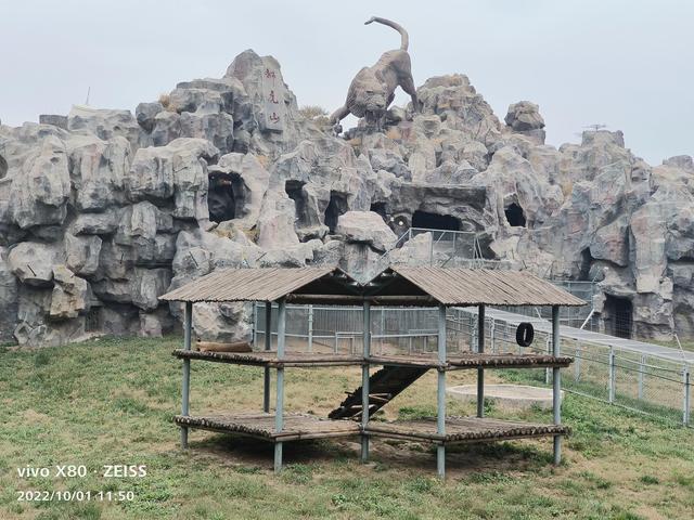 石家庄动物园攻略，石家庄动物园游玩自带饭攻略