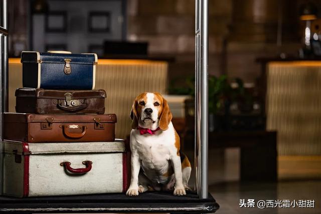 苏州最繁华的地方，苏州姑苏区最繁华的地方