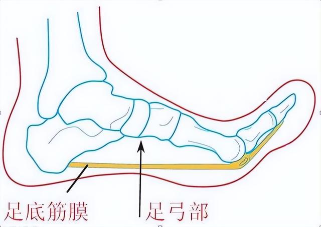 世界上最倒霉的人，世界上最倒霉的人被雷劈过四次（盘点那些世界上最倒霉的人）