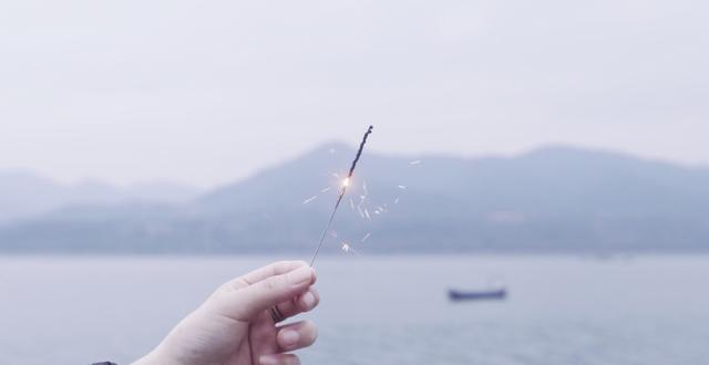 持子之手与子偕老，执子之手与子偕老完整句子