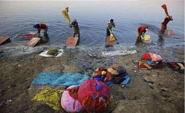 印度鲶鱼泥土里也能活，印度恒河的怒吼