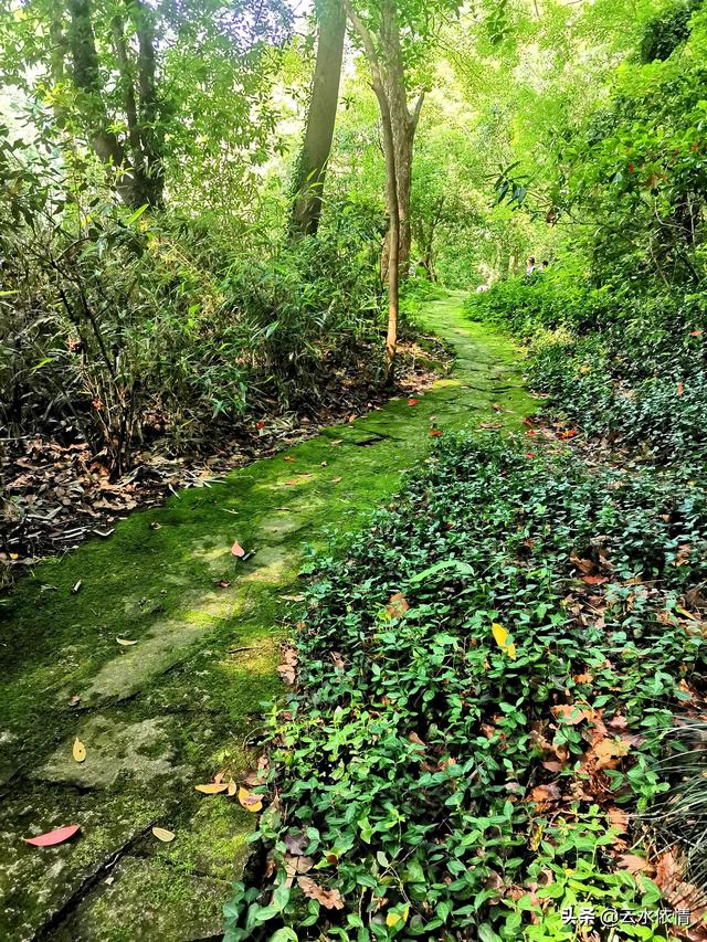 游记西湖景点，漫步惠州西湖