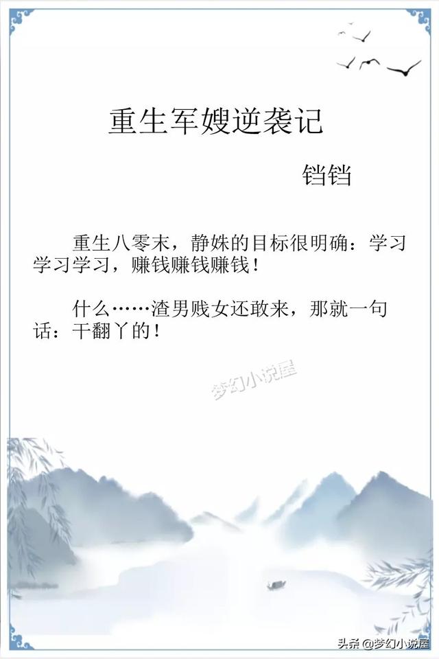 重生军嫂娇养记，推文皮皮