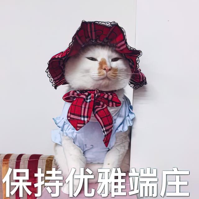 部分95后年轻人选择不结婚，为什么好多90后都不结婚