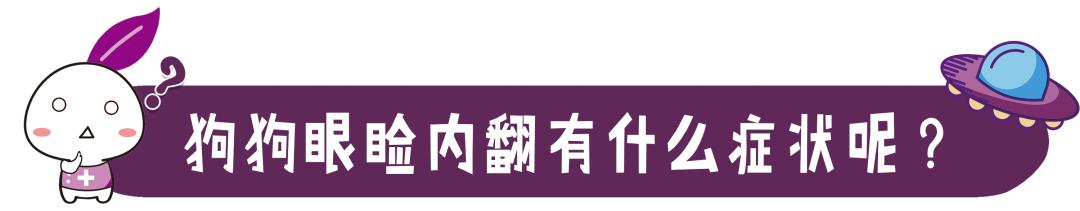 狗狗眼是下垂眼吗，教你这样画眼妆，好看又有神