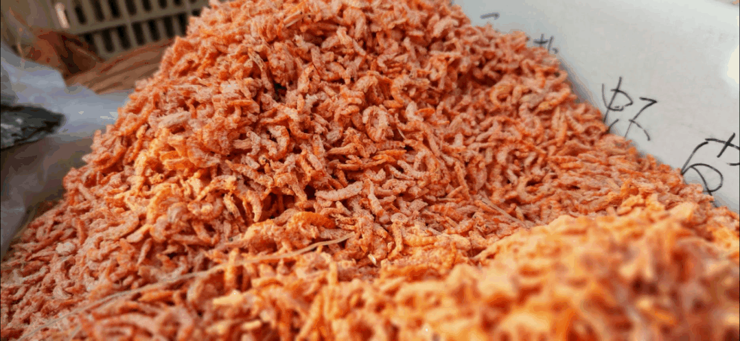 年货大集门头，年货大集一网打尽