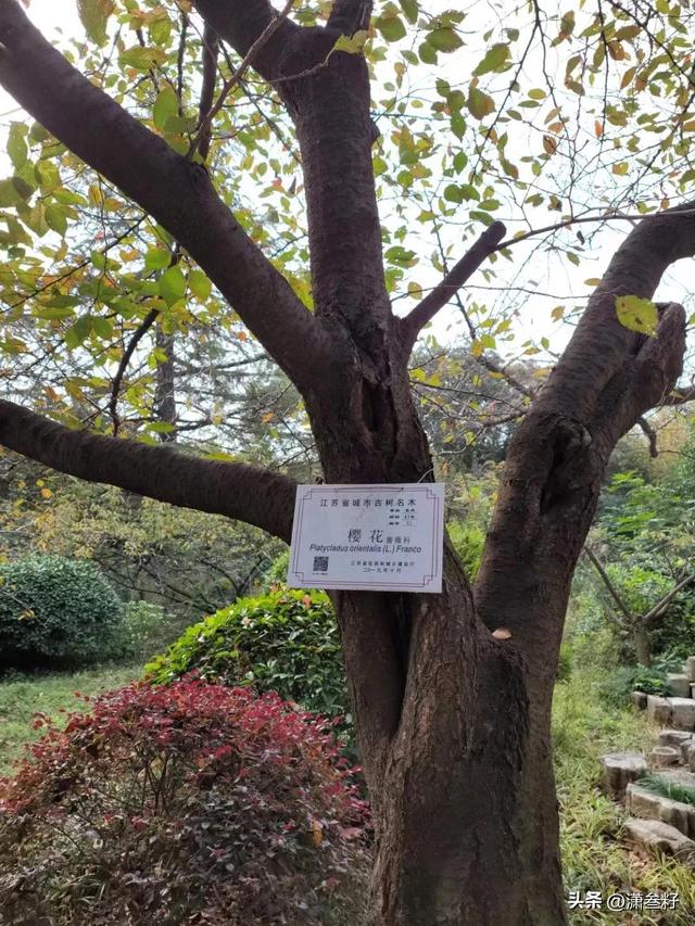 徐州一日游攻略，徐州三日游最佳路线