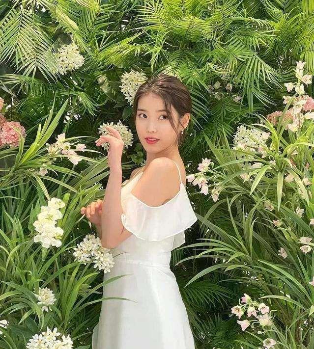 杨紫属于什么脸型，杨紫的五官分析