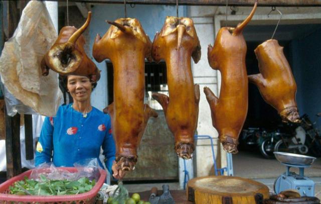 越南人一年吃多少猫咪，亚洲最能吃猫肉的国家