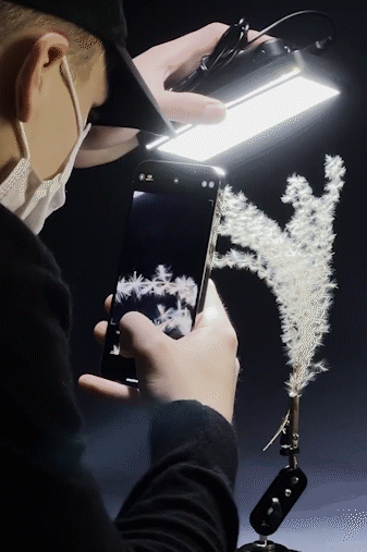 绿色星球有哪些，豆瓣评分9.8的绿色星球