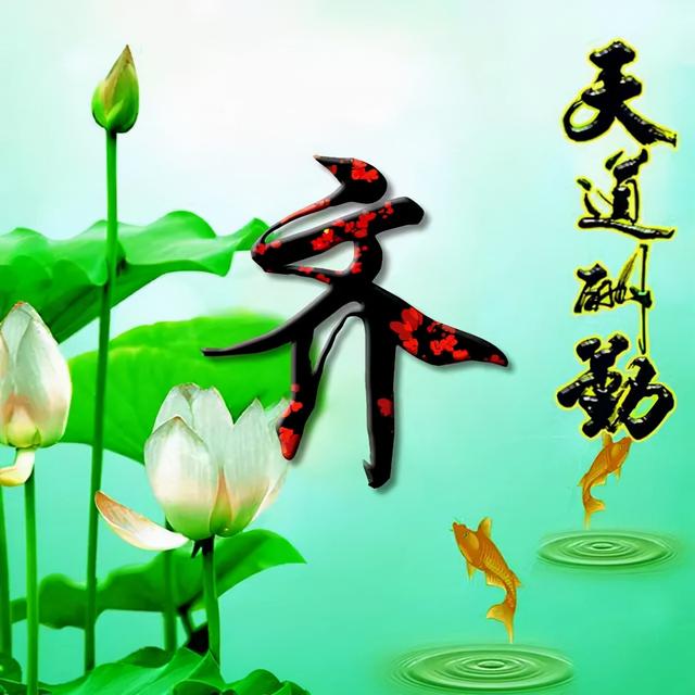 荷花头像图片大全，荷花头像高清图