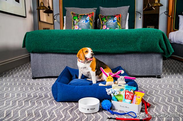 苏州最繁华的地方，苏州姑苏区最繁华的地方