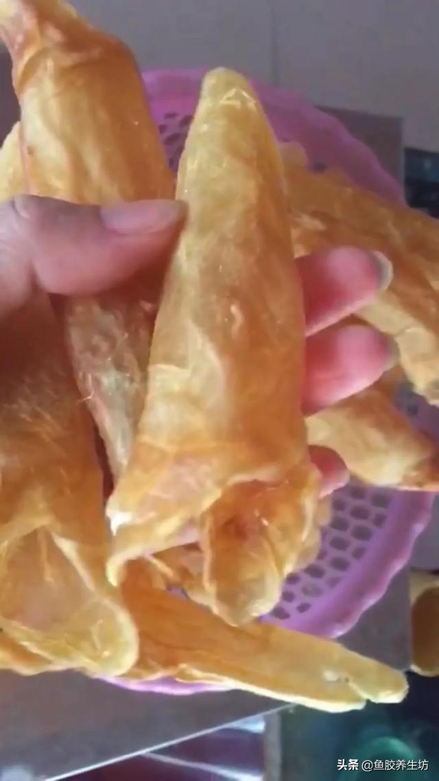 人工合成鱼胶图片，合成鱼胶怎么分辨