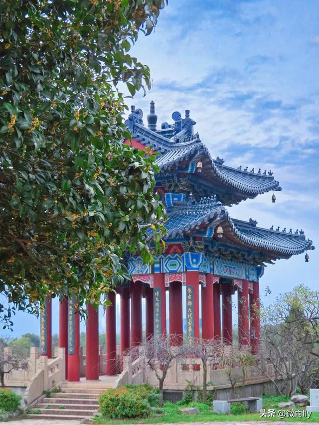 南京初秋7个赏桂花打卡地，南京赏桂花