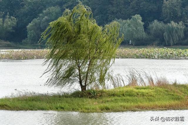 关于扬州瘦西湖的诗词，古诗词和瘦西湖二十四景更配哦