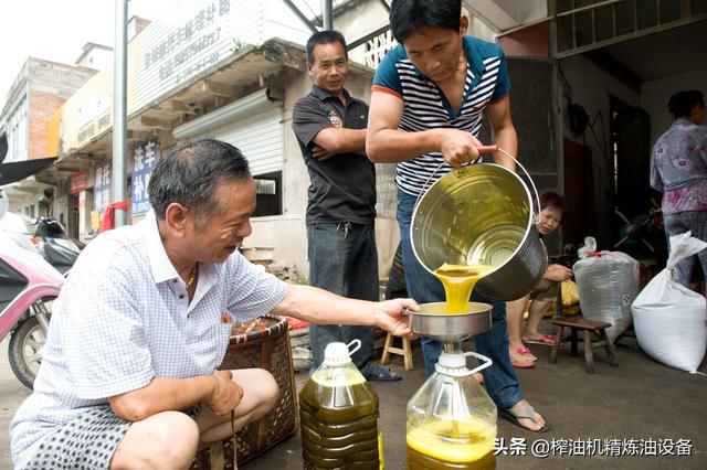 茶籽榨油机价格表，日压榨10吨茶籽榨油机生产线