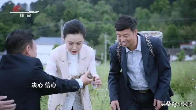 扶贫电视剧排行榜前十名，火爆荧屏的八部扶贫题材电视剧（推荐10部近年来好看的电视剧）