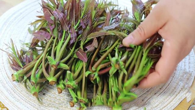 今年最火的凉菜有哪些，春意正浓4种发菜