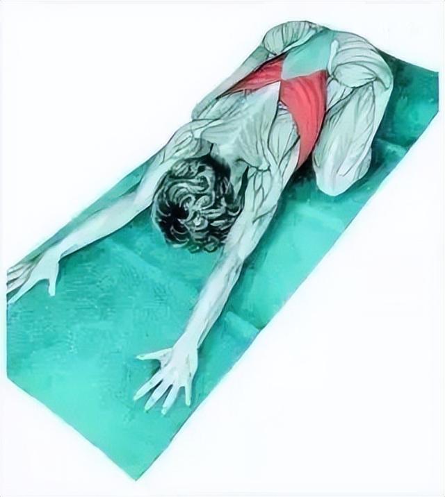 10分钟懒人拉伸训练动作，这6组33个拉伸动作绝了