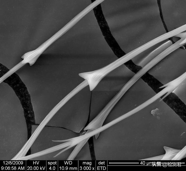 羽绒服执行标准，国标羽绒服标准