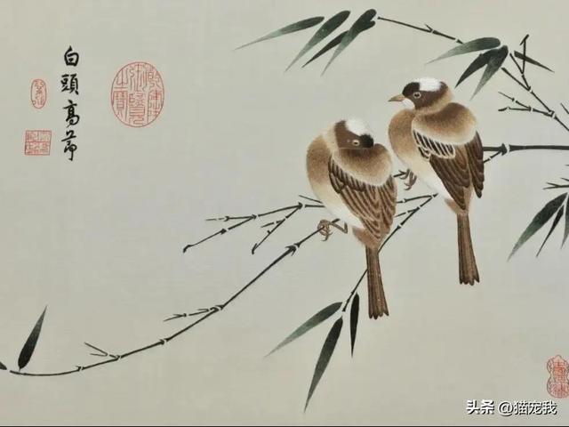 张謇生平简介，化蛹成蝶：张謇和他的南通