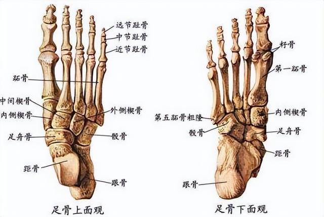 世界上最倒霉的人，世界上最倒霉的人被雷劈过四次（盘点那些世界上最倒霉的人）