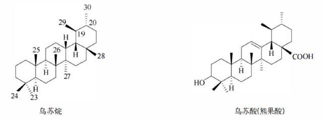 萜类的作用及功能，植物功效成分-三萜及其苷类