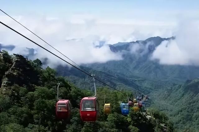 朱雀森林公园旅游攻略一日游，大山深处的朱雀国家森林公园