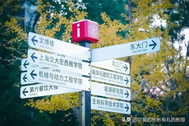 上海交大农学院，上海交通大学的工科学科排名