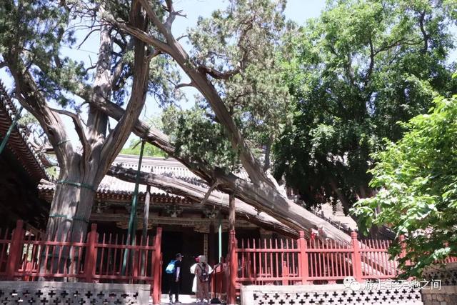 晋祠公园景点介绍，山西晋祠有什么景点好玩（古老晋国宗祠）