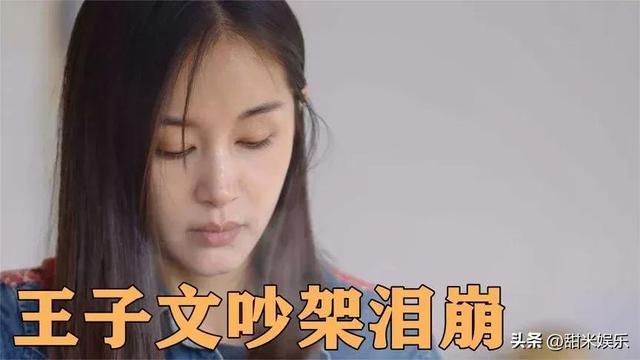 王朔与王子文私下关系，与贾乃亮传绯闻多年、未婚生子