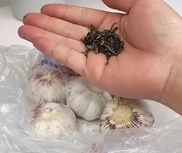 塑料瓶变废为宝，教大家学习塑料瓶变废为宝