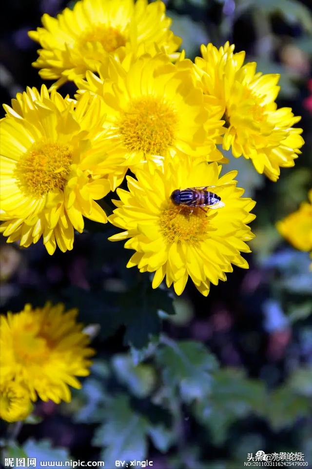 南通的战略位置，江苏南通2023年展望