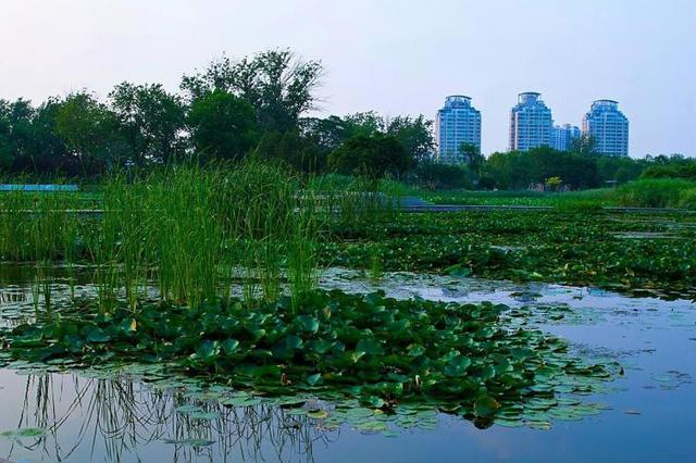 海陵岛十大景点，阳江海陵岛最值得玩的景点是哪里（广东过冬别忘了还有这片海）