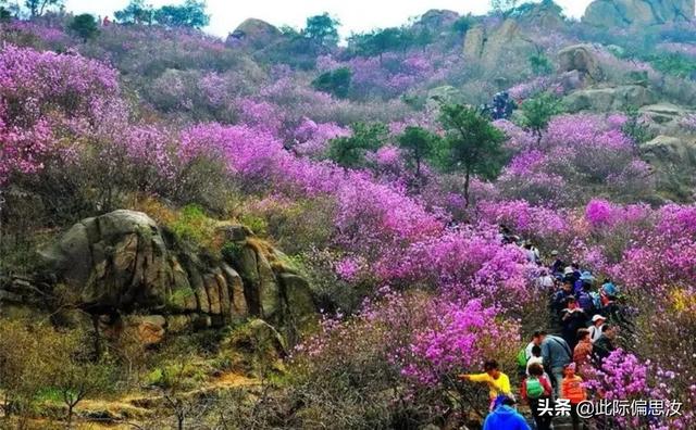 大珠山旅行路线，大珠山一日游