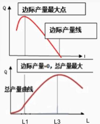 中级经济师生产函数和生产曲线，中级经济师《经济基础》-3.2生产函数和生产曲线