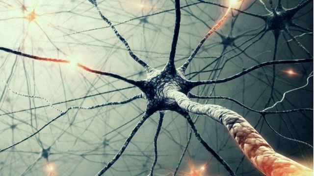 重度失智症会出现哪些症状，失智症的类型以及对应照顾方式