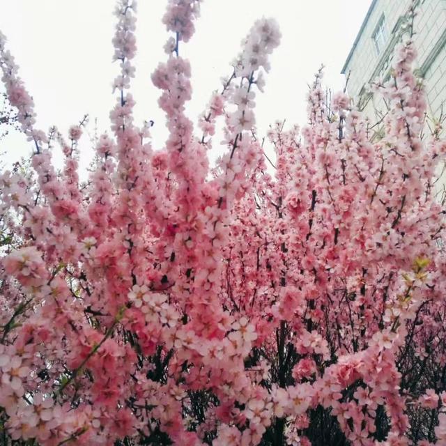 沈阳师范大学官网，沈阳师范大学官网入口