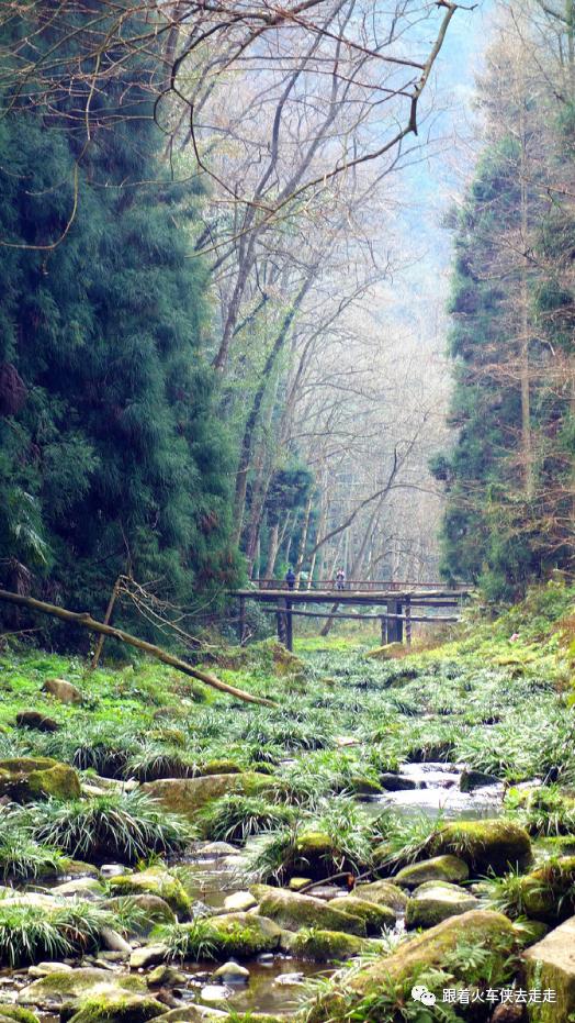到张家界三日游，魅力湘西张家界三日游