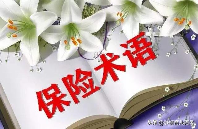 保险的专用术语，保险术语大全